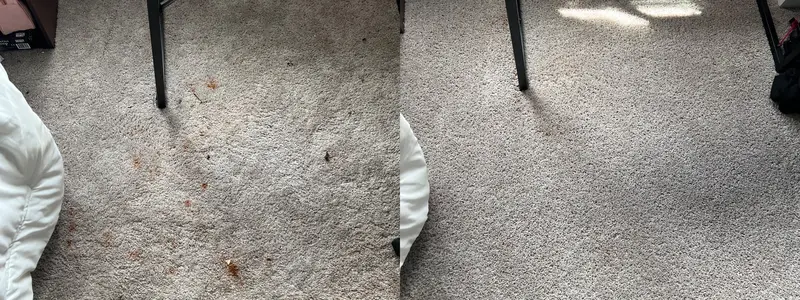 Grey bedroom carpet beside a black table leg, rust-colored spots gone after cleaning