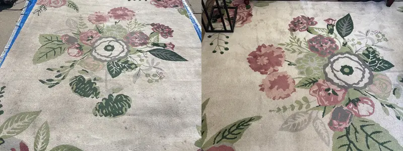 Floral wool area rug, bright cream after cleaning.