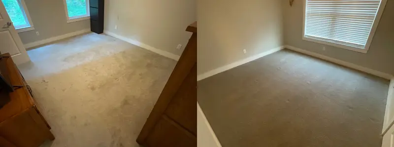 Bedroom carpet with dirty traffic paths, then even clean carpet along a baseboard
