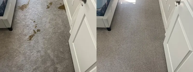 Grey bedroom carpet with brown spill stains near a white door and outlet