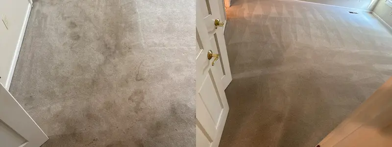 Light carpet covered in dark spots and traffic soil, then clean with grooming lines