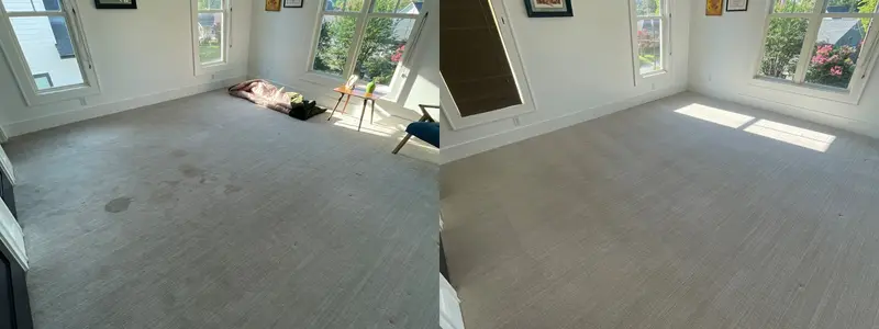 Large living room carpet with stains on the left, evenly cleaned and groomed on the right
