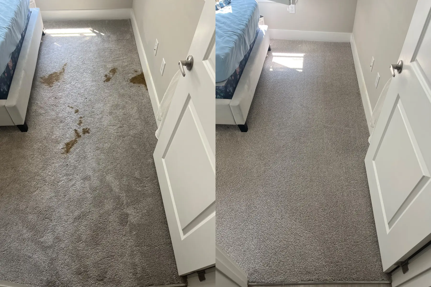 The trail of yellow pet marks running across this bedroom floor is gone and the carpet is one even grey.