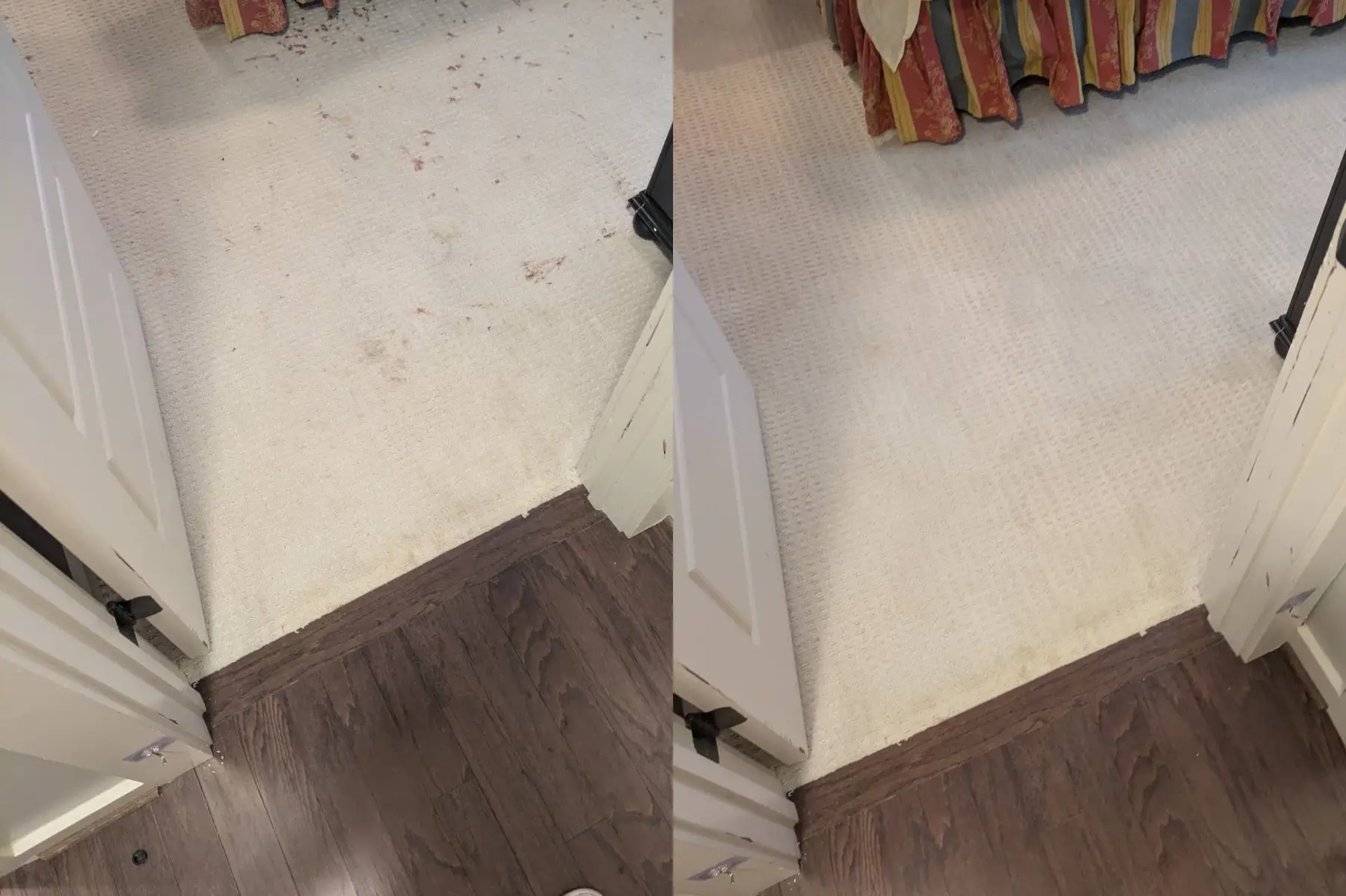 The red spatter across this white carpet is completely gone and the floor is clean right up to the doorway.
