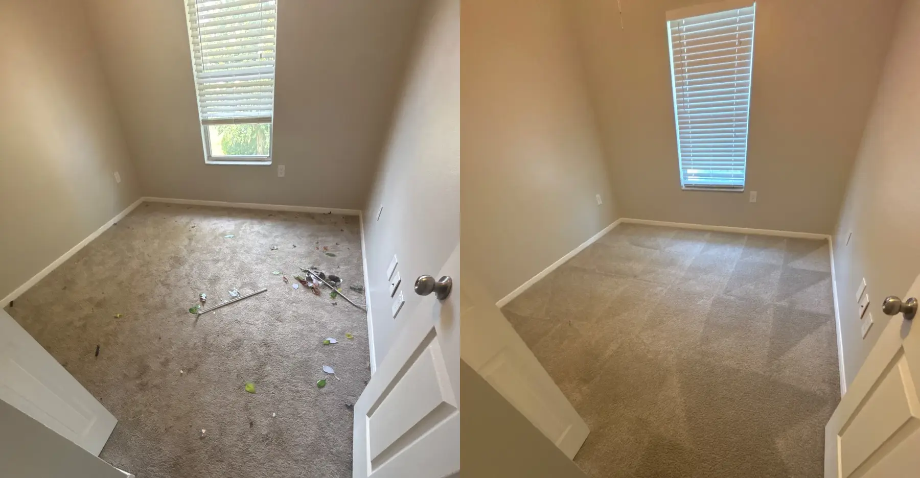 The grubby grey cast over this floor came out and the carpet is one clean, even shade with fresh grooming marks.
