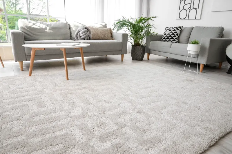 Carpet cleaning in Middle Valley, TN
