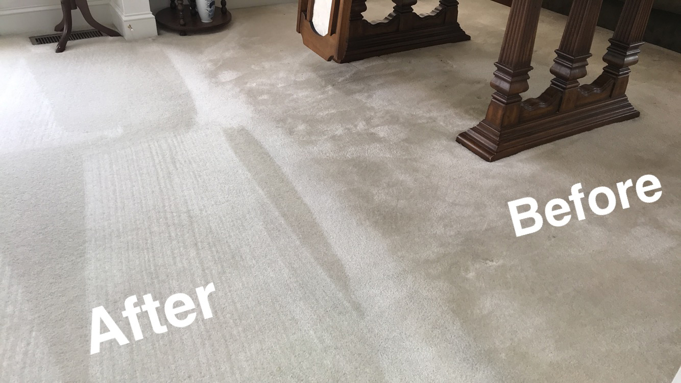 News Safe Dry Carpet Cleaning