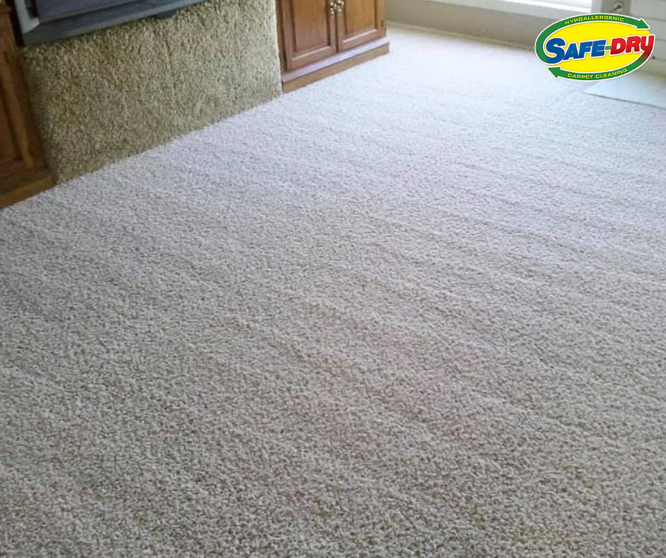 100% Eco-friendly Products Used to Clean Up Your Carpet!