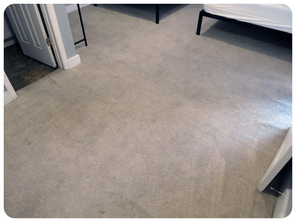Carpet Cleaning Services in Chattanooga TN SafeDry